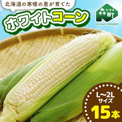 ふるさと納税 森町 [先行受付]北海道森町産ホワイトコーン L〜2L 15本