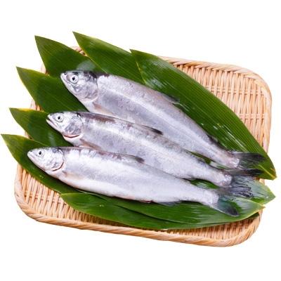 ふるさと納税 小坂町 (冷凍)十和田湖ひめます 約1.3kg(28cm前後 6〜7尾程度)