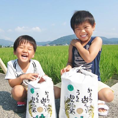 ふるさと納税 江北町 新米【令和8年産】農薬、化学肥料を極限まで減らした、ひなたむらの夢しずく玄米10kg+5kg |  | 01