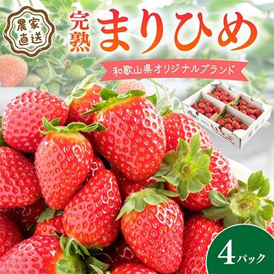 ふるさと納税 御坊市 農家直送 完熟まりひめ(和歌山県オリジナルブランドいちご)4P(2026年1月より順次発送)
