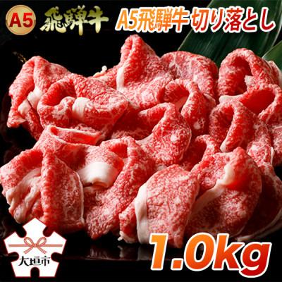 ふるさと納税 大垣市 A5飛騨牛切り落としモリモリ 1.0kg 木立ミート