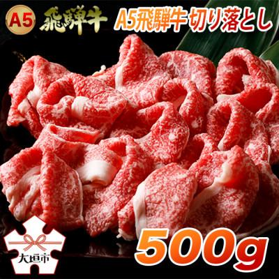 ふるさと納税 大垣市 A5飛騨牛 便利な切り落とし 500g 木立ミート