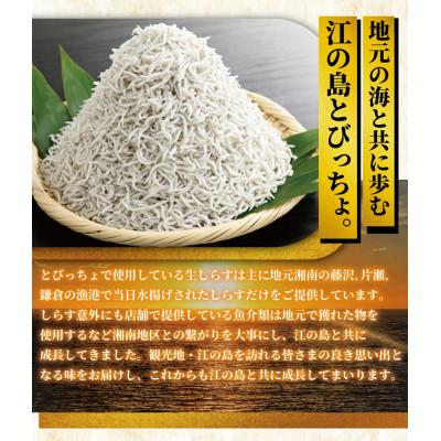 ふるさと納税 藤沢市 湘南江の島　しらす問屋とびっちょ　ペアお食事券(2名様1組分) |  | 02