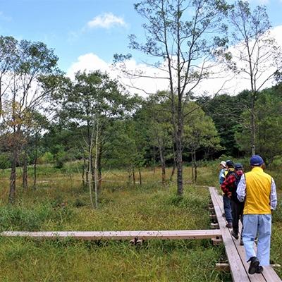 ふるさと納税 北広島町 『八幡湿原』でのトレッキング体験プラン