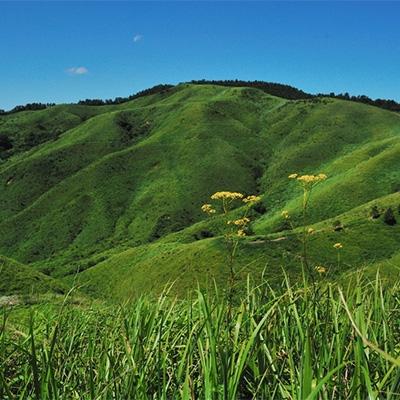 ふるさと納税 北広島町 『雲月山』でのトレッキング体験プラン