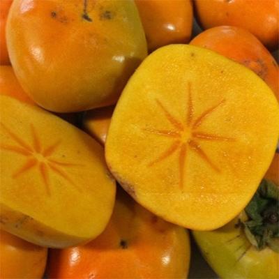 ふるさと納税 和歌山市 和歌山産 たねなし柿 5kg (サイズおまかせ) |  | 03