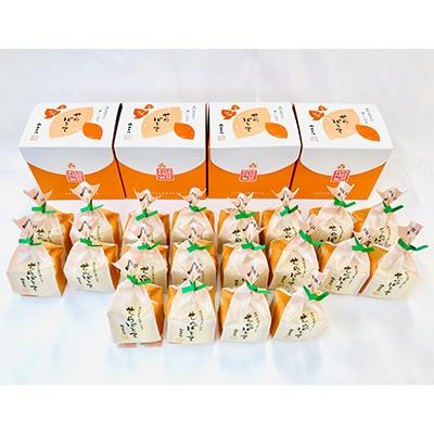 ふるさと納税 世羅町 せらぽとて5個入り4箱(20個)