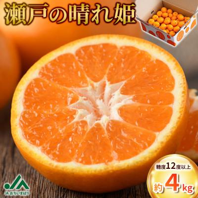 ふるさと納税 今治市 [先行受付]JAおちいまばり 瀬戸の晴れ姫(はれひめ)4kg、12月〜1月に発送