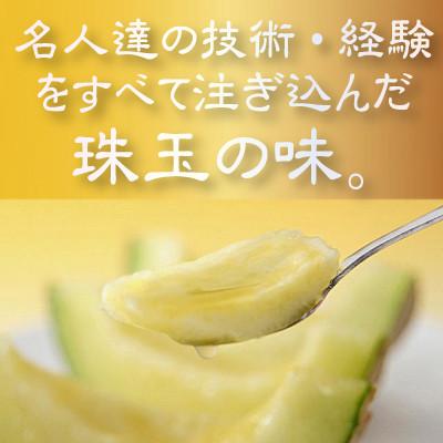 ふるさと納税 袋井市 【通年出荷】クラウンメロン『山等級』　1玉 |  | 01