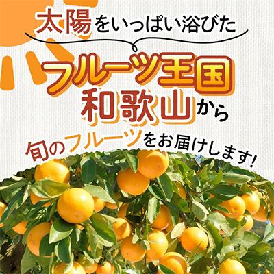 ふるさと納税 御坊市 フルーツ王国和歌山の フルーツセット |  | 01