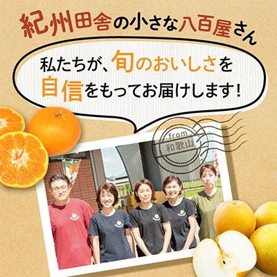 ふるさと納税 御坊市 フルーツ王国和歌山の フルーツセット |  | 03