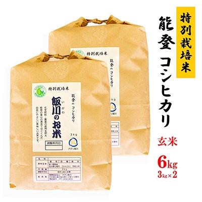 ふるさと納税 七尾市 [令和7年産]能登のコシヒカリ 飯川のお米 6kg(玄米3kg×2袋)