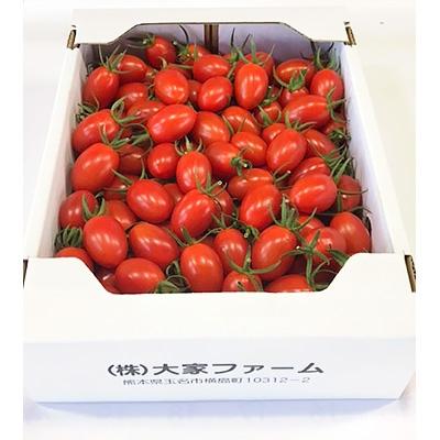 ふるさと納税 玉名市 熊本県玉名市産 アイコトマト 2kg