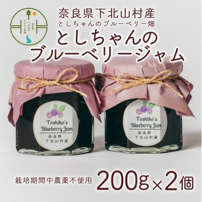 ふるさと納税 下北山村 [先行予約]9月〜順次発送としちゃんのブルーベリージャム200gx2個 手摘み 栽培期間中農薬不使用