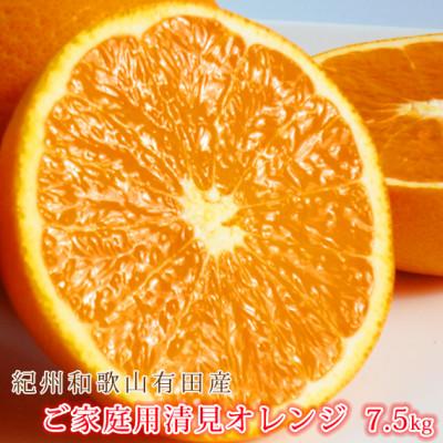 ふるさと納税 美浜町 [ご家庭用]紀州有田産清見オレンジ 約7.5kg