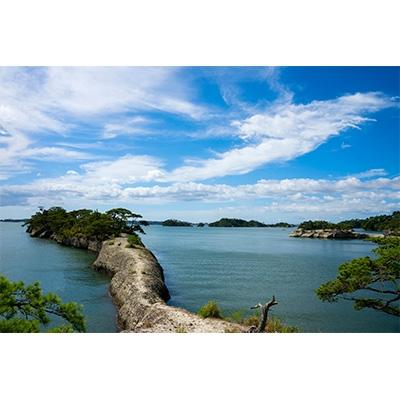 ふるさと納税 利府町 観光タクシー(縄文時代〜近世コース)