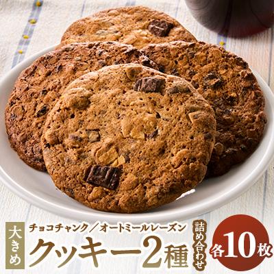 ふるさと納税 東海村 チョコチャンククッキー&amp;オートミールレーズンクッキーの詰合せ(20枚入り)