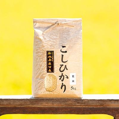 ふるさと納税 南魚沼市 [令和8年産 新米]南魚沼産コシヒカリ(玄米)[5kg]新潟県の特A地区南魚沼市の美味しいお米