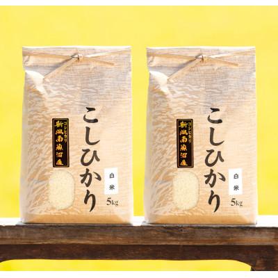 ふるさと納税 南魚沼市 【令和8年産 新米】南魚沼産コシヒカリ(白米