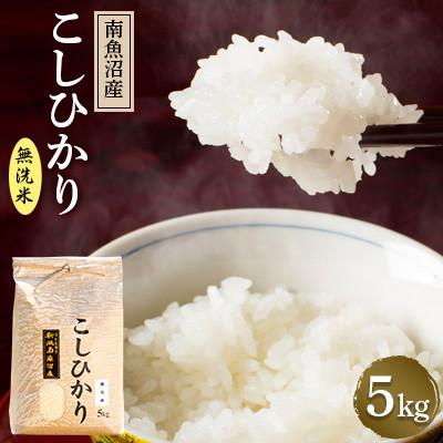 ふるさと納税 南魚沼市 [令和7年産 新米]南魚沼産コシヒカリ(無洗米)[5kg]