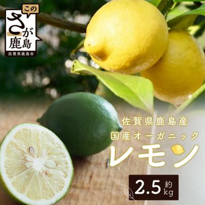 ふるさと納税 鹿島市 佐賀県鹿島市産 オーガニックレモン 2.5kg