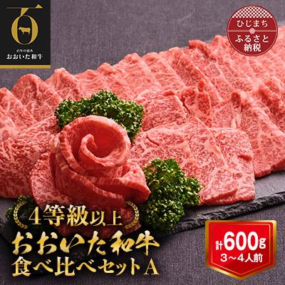 ふるさと納税 日出町 おおいた和牛 焼肉にピッタリ!牛肉の食べ比べセットA(上カルビ&amp;上ロース)(合計600g)3〜4人前