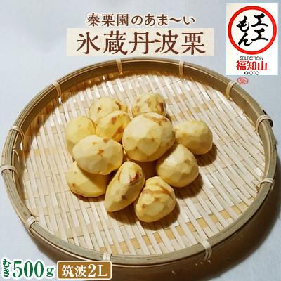 ふるさと納税 福知山市 秦栗園のあま〜い氷蔵丹波栗 筑波2L むき500g[熟成]大粒 11月中旬発送