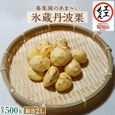 ふるさと納税 福知山市 秦栗園のあま〜い氷蔵丹波栗 銀寄2L むき500g[熟成]大粒 11月中旬発送
