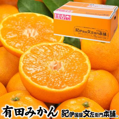 ふるさと納税 美浜町 有田みかん約7.5kg(+傷み補填分500g)=合計8kg[サイズおまかせ]/紀伊国屋文左衛門本舗