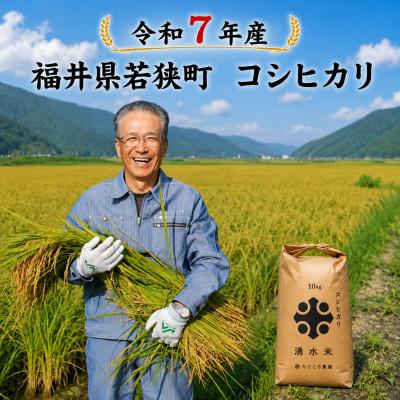 ふるさと納税 若狭町 [ 令和7年産 ]福井県若狭町 コシヒカリ 10kg