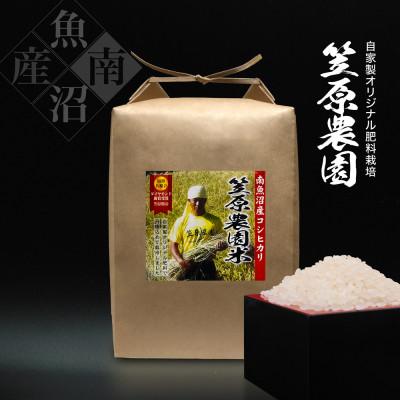ふるさと納税 南魚沼市 令和7年産 南魚沼産 笠原農園米 コシヒカリ5kg