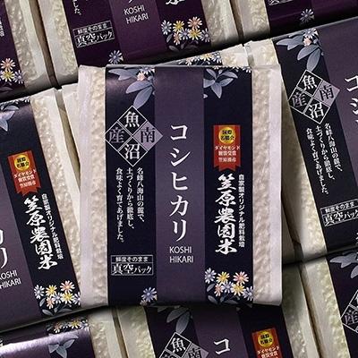 ふるさと納税 南魚沼市 [新米]令和7年産 南魚沼産 笠原農園米 コシヒカリ真空パック(450g×20個)
