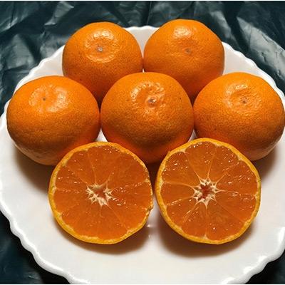 ふるさと納税 湯浅町 有田みかん(進物用特選)約5kg