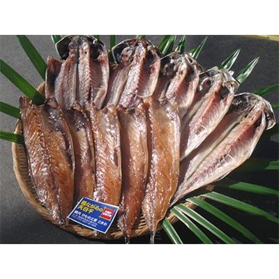 ふるさと納税 熱海市 [熱海ブランド]天日干し 2種類(真あじ、さば醤油干し)10枚