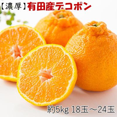 ふるさと納税 美浜町 [お味濃厚]紀州有田産のデコポン約5kg(18玉〜24玉入り)(美浜町)