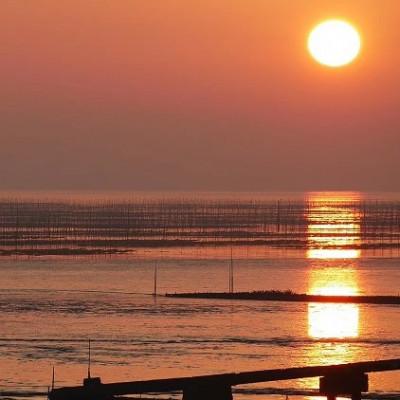 ふるさと納税 鹿島市 【有明海産】寿司のり50枚入り
