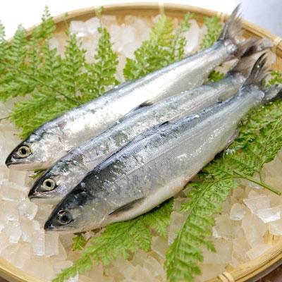 ふるさと納税 十和田市 十和田湖ひめます(26cm)6〜8尾 約1.3kg〔冷凍〕