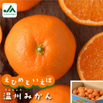 ふるさと納税 今治市 [先行予約]温州みかん 4kg [B90]