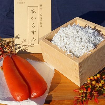 ふるさと納税 須崎市 天日熟成本からすみ(100g以上)と須崎獲れ釜揚げシラス1kg(地元原料にこだわった自慢の鮮度!)