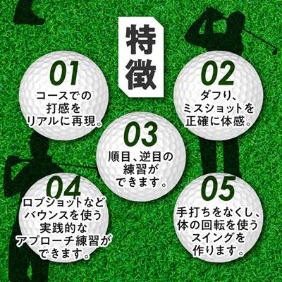 ふるさと納税 富田林市 ダフり矯正マット　ダフるんだ   不織布タイプ 　1枚　ゴルフマット |  | 02