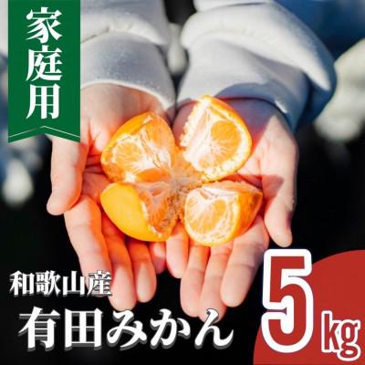 ふるさと納税 湯浅町 [先行受付]11月中旬より順次発送 和歌山産 有田みかん 約5kg [家庭用][まごころ手選別]