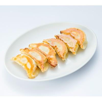 ふるさと納税 宇都宮市 [寿限無餃子] 餃子20個入り