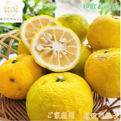 ふるさと納税 湯浅町 ≪2025年10月〜発送≫紀州和歌山の柚子(ゆず)(ご家庭用) 1kg