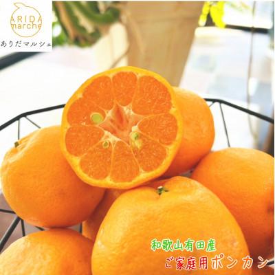 ふるさと納税 湯浅町 ≪先行受付≫[極甘柑橘]有田育ちのご家庭用濃厚ポンカン 3kg