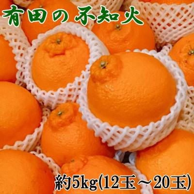 ふるさと納税 広川町 [濃厚春柑橘]有田産不知火約5kg(12玉〜20玉おまかせ)(広川町)