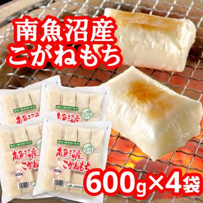 ふるさと納税 南魚沼市 南魚沼産こがねもち「生切りもちシングルパック」2.4kg(600g×4袋) | 