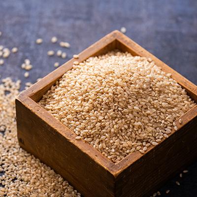 ふるさと納税 五戸町 11月以降発送【8年産 新米】まっしぐら　玄米20kg |  | 02