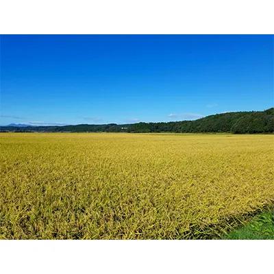 ふるさと納税 五戸町 11月以降発送【8年産 新米】まっしぐら　玄米20kg |  | 03