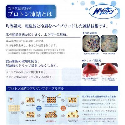 ふるさと納税 山県市 氷温(R)熟成　飛騨牛A5等級肩ロース肉すき焼き　高速冷凍　800g |  | 01