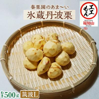 ふるさと納税 福知山市 秦栗園のあま〜い氷蔵丹波栗 筑波Lむき500g[熟成]11月中旬発送
